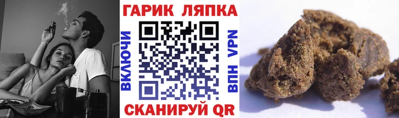 ГАШ hashish  Купить где  Михайловка 