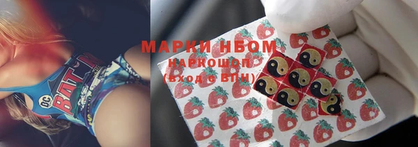 амф Дмитров