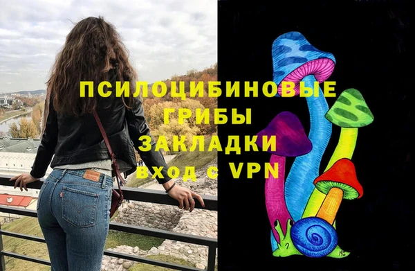 твердый Дмитровск