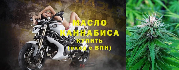твердый Дмитровск