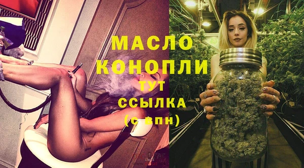твердый Дмитровск