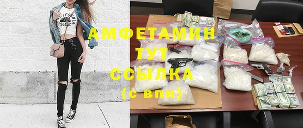 твердый Дмитровск