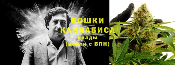 твердый Дмитровск