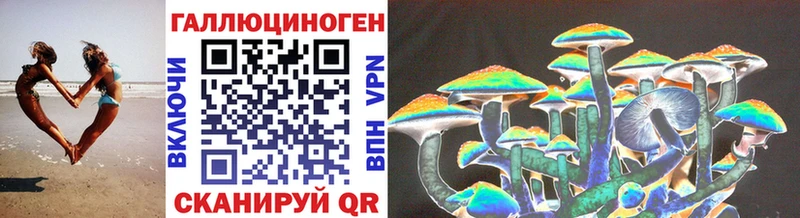 Псилоцибиновые грибы Magic Shrooms  Купить где  Михайловка 